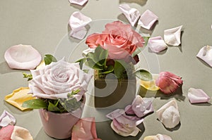 Rose flower decoration photo