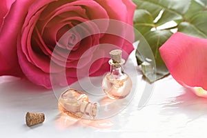 Rose flower and essential oil. Spa and aromatherapy