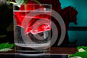 Rose flower in a glass of water. Romantic evening