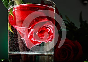 Rose flower in a glass of water. Romantic evening