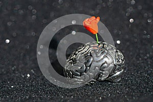 Rose flower growing in a brain