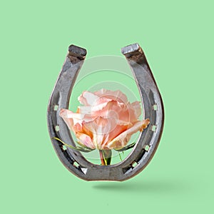 Rose flower and horseshoe on a green background. photo