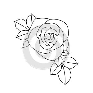 Rose Flower with Leaves Linear Drawing