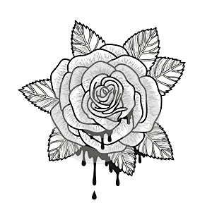 Rose flower monochrome vector illustration. Beautiful rose isolated on white background. Element for design of tattoo