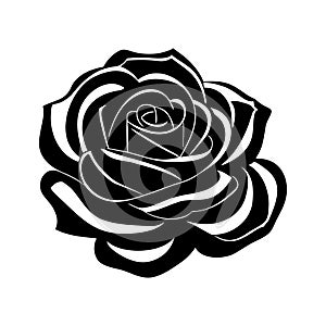 Rose flower silhouette logo isolated on white background