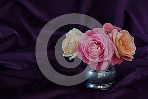 Rose flower in silver jug