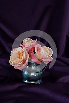 Rose flower in silver jug