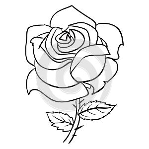 rose, flower, sketch, coloring, isolated object on a white background, vector illustration