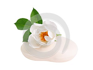 Rose flower on soap