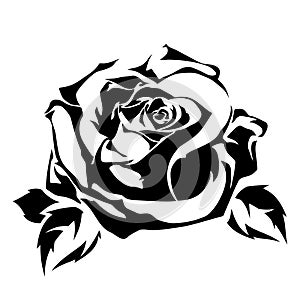 Rose flower. Vector black silhouette