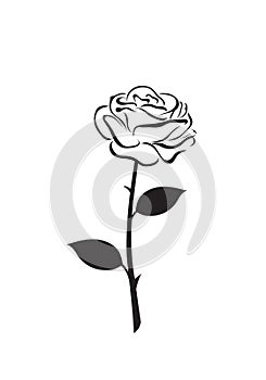 Rose flower vector icon