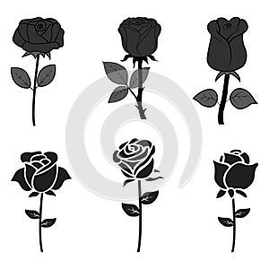 Rose flower vector isolated on a white background