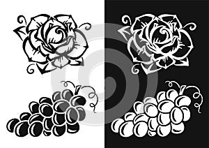 Rose flower and vine grape. Black silhouette. Design element. Vector illustration isolated on white background. Template for books