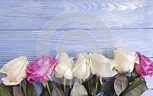 Rose flower on wooden background frame template greeting birthday