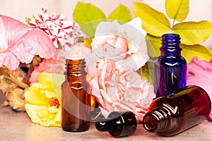 Rose flowers and bottles of essential oils for aromatherapy