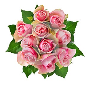 Rosen Blumen 