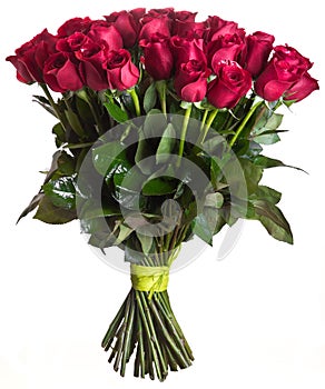 Rose flowers bouquet isolated