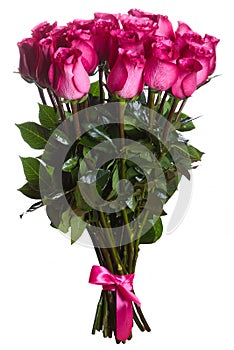 Rose flowers bouquet isolated