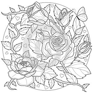 Rose flowers with butterfly.Coloring book antistress for children and adults