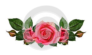 Rose flowers composition