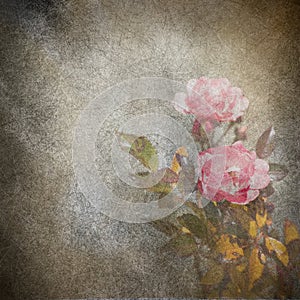 Rose flowers grunge illustration