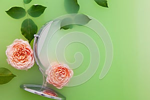 Rose flowers and mirror in milky water