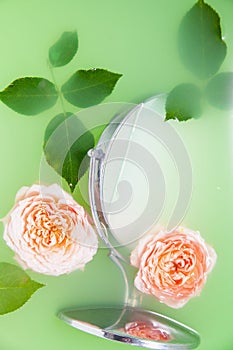 Rose flowers and mirror in milky water