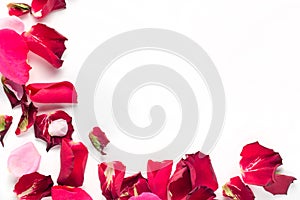 Rose flowers petals on white background. Valentines day background. Flat lay, top view, copy space
