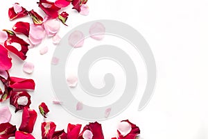 Rose flowers petals on white background. Valentines day background. Flat lay, top view, copy space