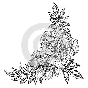 Rose Flowers vector illustration in outline style. Hand drawn floral drawing painted by black inks for greeting cards or