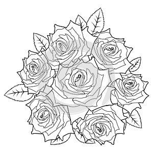 Rose flowers vector line art for romantic floral illustration. Black contour outline sketch isolated on white background