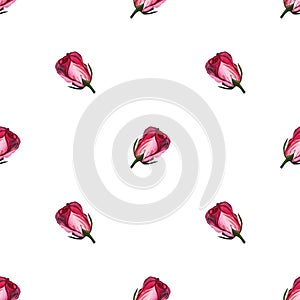 Rose flowers on white background handmade gouache gentle. Background for web pages, wedding invitations, date cards, textiles,