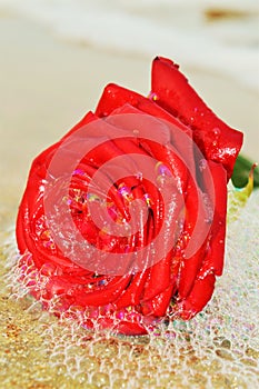 Rose and foam, symbol