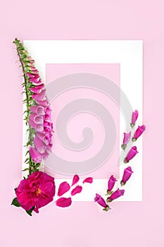 Rose and Foxglove Summer Flowers for Herbal Plant Medicine