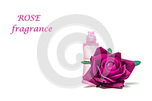 Rose fragrance