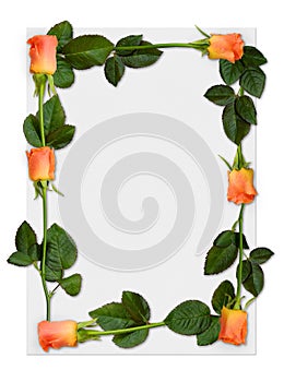 Rose frame 2