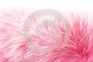 Rose fur on white