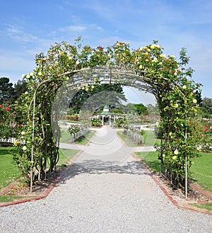 Rose Garden