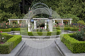 Rose garden