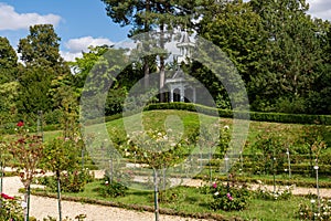 Rose garden in the Bagatelle park - Paris, France