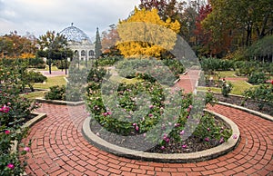 Rose garden, Birmingham Botanical Gardens