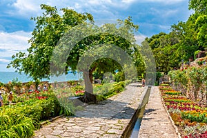 Rose garden at botanical garden of Balchik palace in Bulgaria