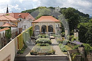 Rose garden of Decin castle, Czechia