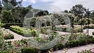 Rose Garden, El Retiro Park, Madrid, Spain