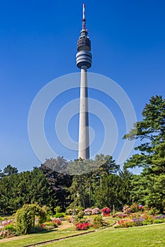 Rose garden in front of the television tower in the Westfalen park of Dortmund photo