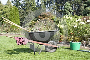 Rose garden and gardening tools