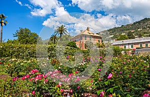The rose garden `Il Roseto` in Genoa Genova Nervi, inside Genoa Nervi Parks, Italy.
