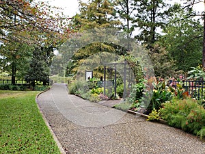 Rose garden inside Tyler Texas USA