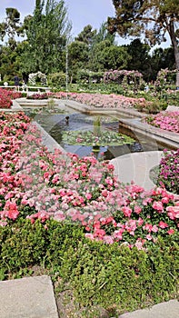 Rose Garden, El Retiro Park, Madrid, Spain