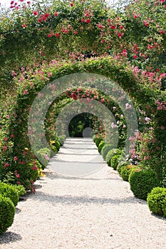 Rose Garden Landscape
